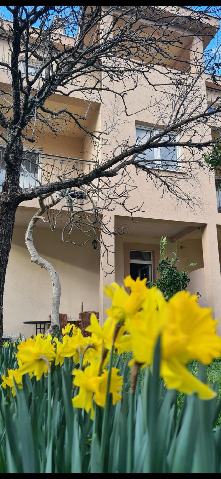 Ferienwohnung Casa M Tivat Exterior foto